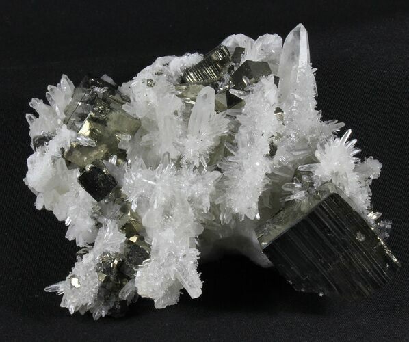 Collector Quality, Quartz With Cubic Pyrite - Peru #38908